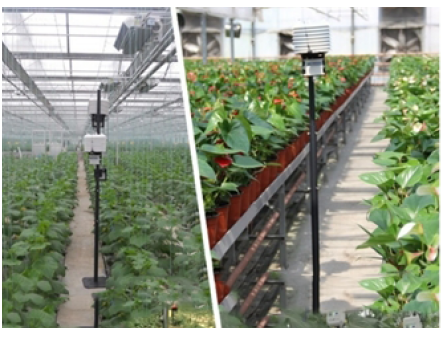 2025最新免费资料大全